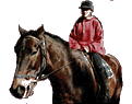 Taara on Horse
