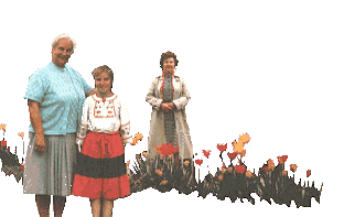 Taara in Germany