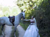 t_lead_horse01